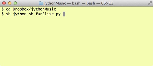 Using the Terminal window (Mac OSX) to run a program.
